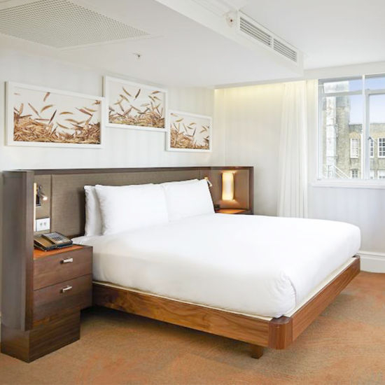 Hôtel professionnel haut de gamme Hilton London Hyde Park à vendre