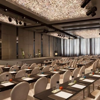 Meubles de conférence de salle de réunion de formation d'hôtel de luxe