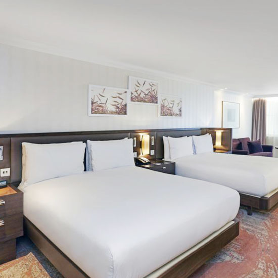 Hôtel professionnel haut de gamme Hilton London Hyde Park à vendre