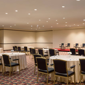 Panneaux muraux de meubles fixes de décoration de luxe d'hospitalité