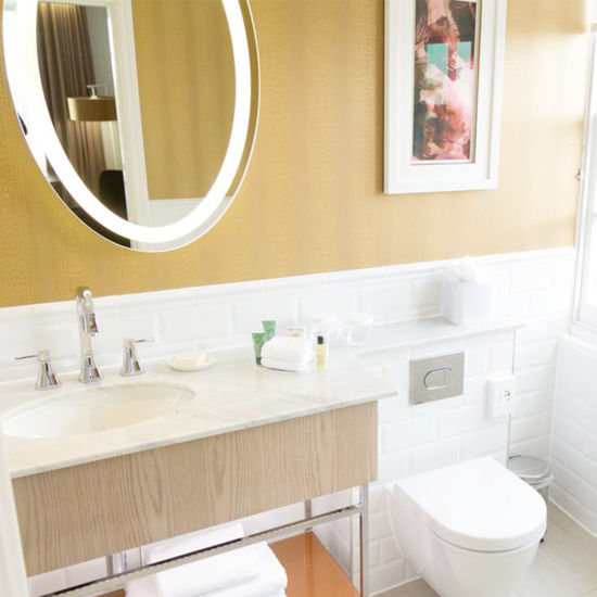 Hôtel professionnel haut de gamme Hilton London Hyde Park à vendre